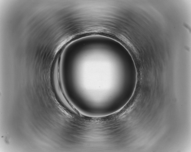 X0000094360834200711021508