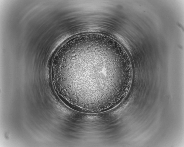 X0000094360835200711021508