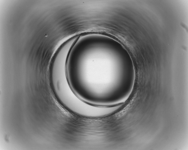 X0000094360838200711021508