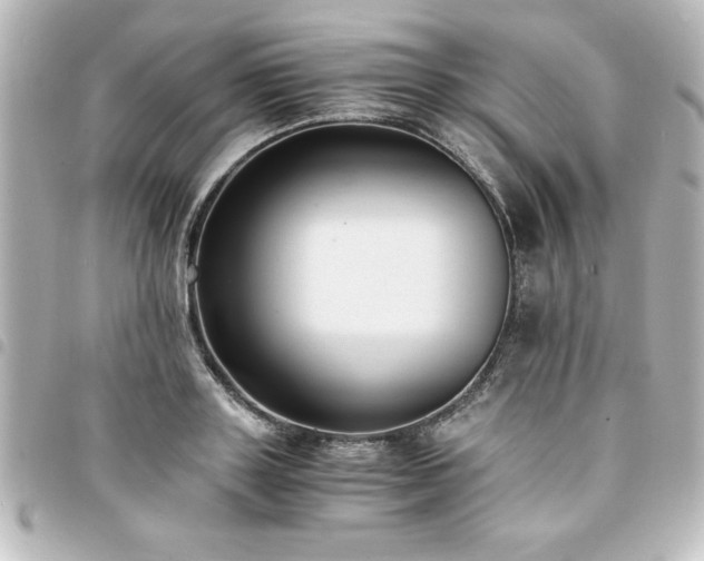 X0000094360843200711021508