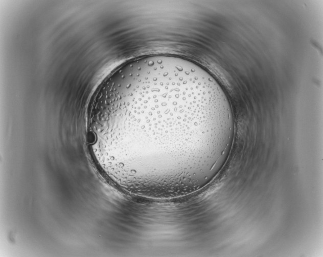 X0000094360844200711021508