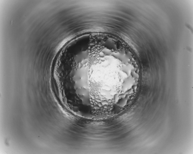 X0000094360845200711021508
