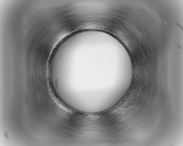 X0000094360848200711021508