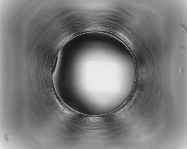 X0000094360849200711021508