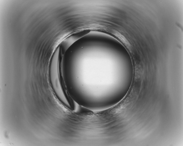 X0000094360850200711021508