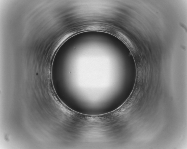X0000094360852200711021508