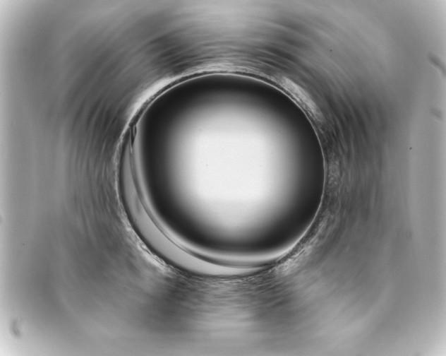 X0000094360854200711021508