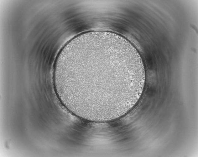 X0000094360856200711021508
