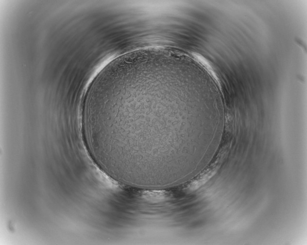 X0000094360859200711021508
