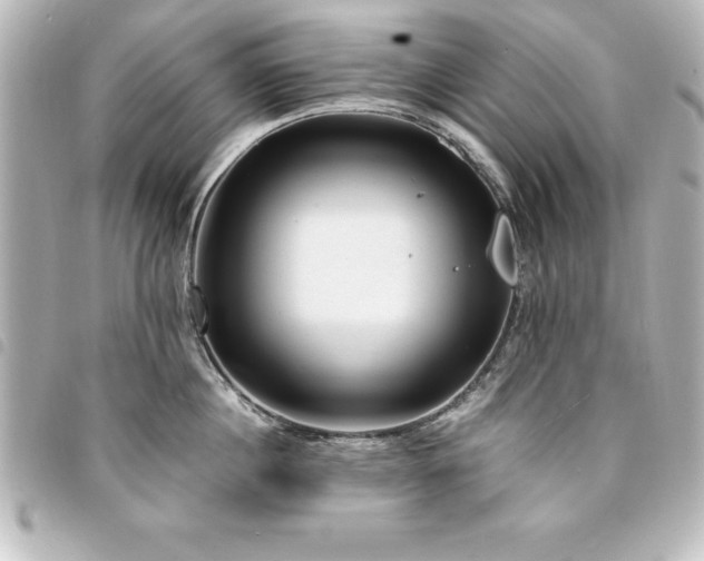 X0000094360860200711021508