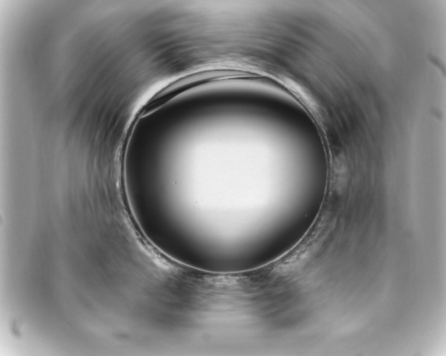 X0000094360862200711021508