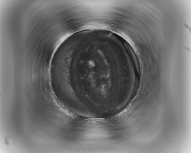 X0000094360864200711021508