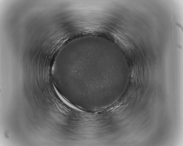 X0000094360868200711021507