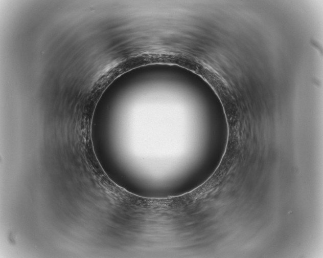 X0000094360870200711021507