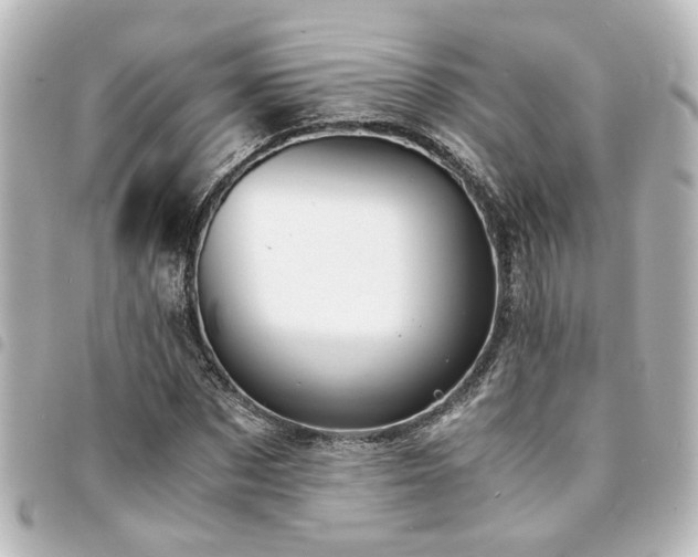 X0000094360873200711021507