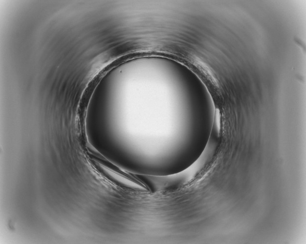 X0000094360876200711021507