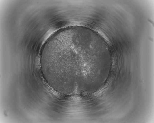 X0000094360878200711021507