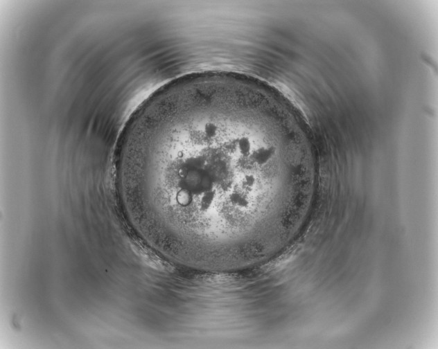 X0000094360879200711021507