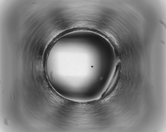 X0000094360880200711021507