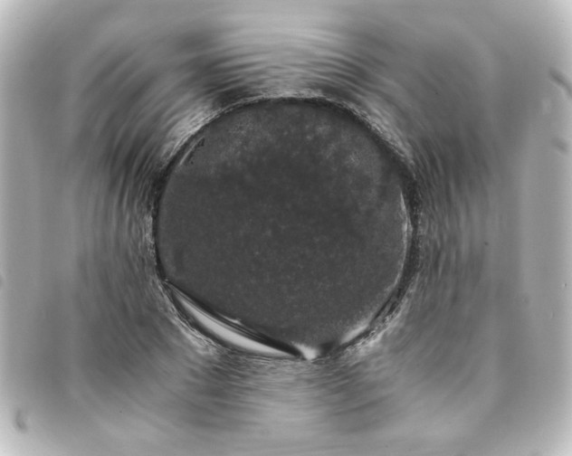 X0000094360881200711021507
