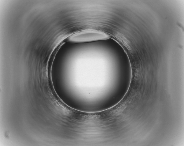 X0000094360884200711021507