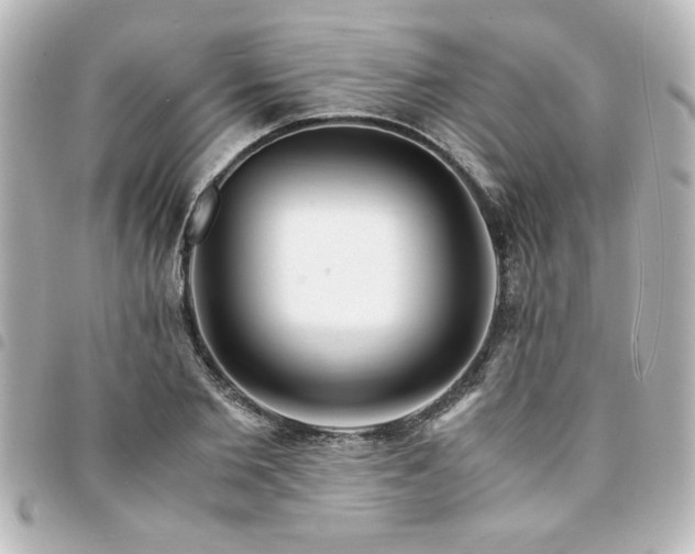 X0000094360885200711021507
