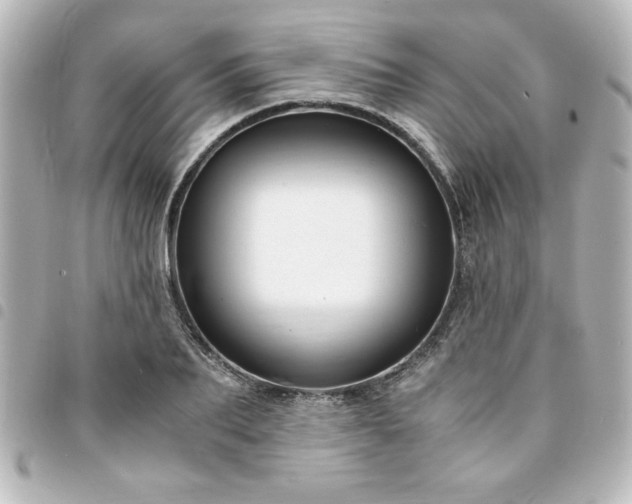 X0000094360887200711021507