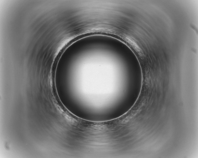 X0000094360888200711021507