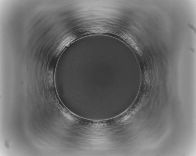X0000094360889200711021507