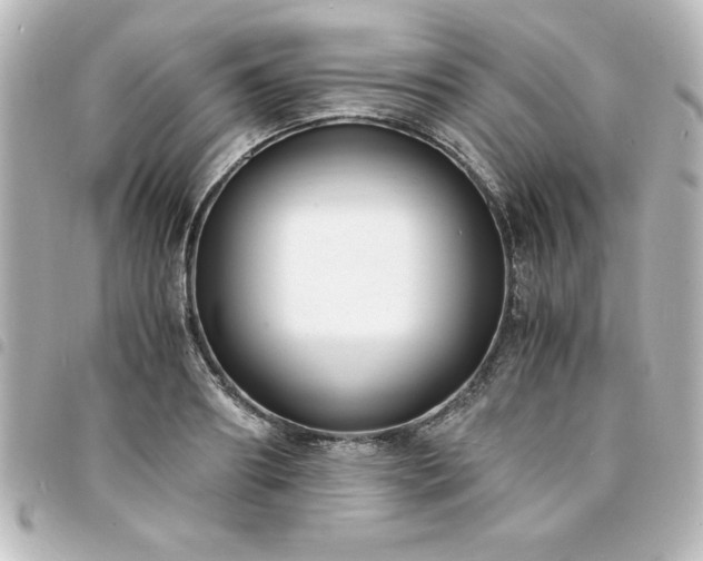 X0000094360890200711021507