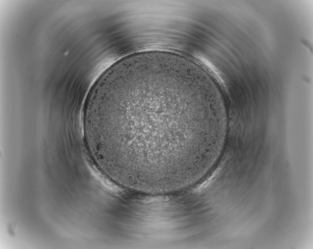 X0000094360892200711021507