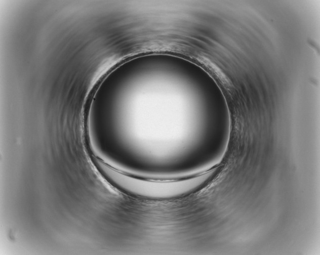 X0000094360894200711021507