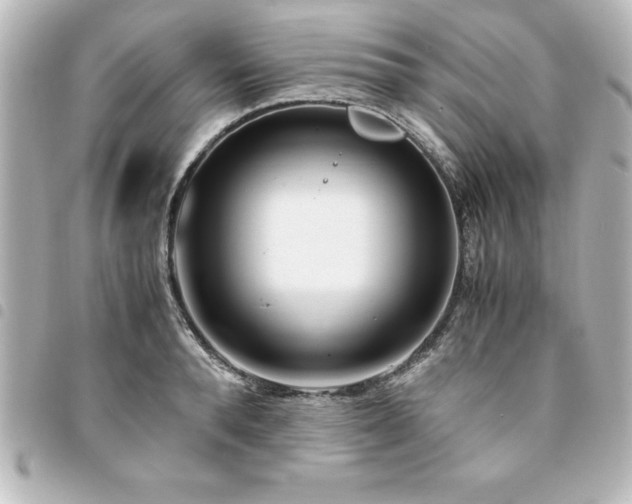 X0000094360896200711021507
