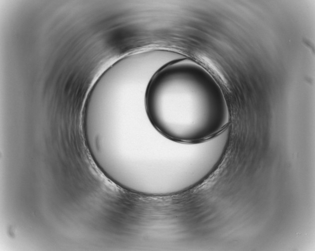 X0000094360900200711021507