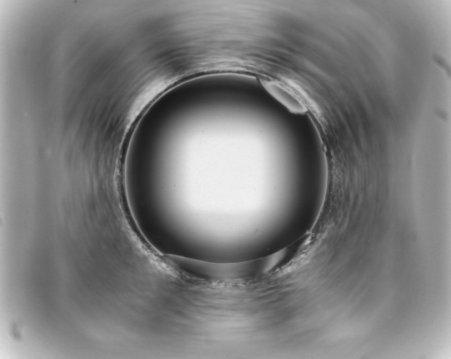 X0000094360901200711021507