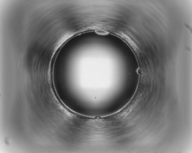 X0000094360902200711021507