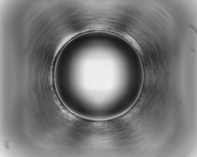X0000094360904200711021507