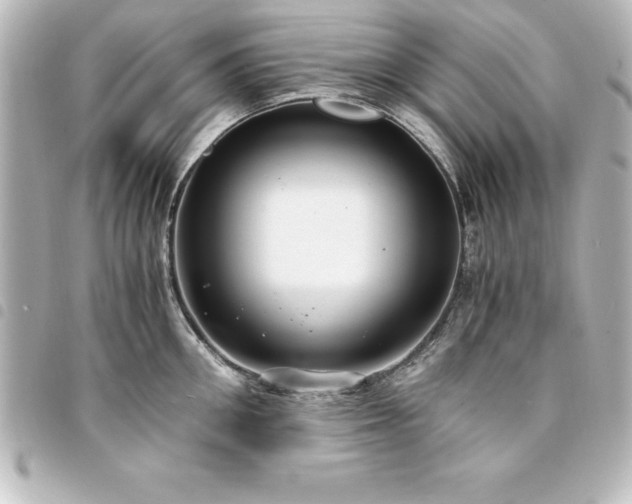 X0000094360906200711021507