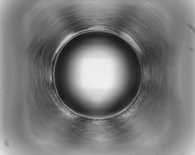 X0000094360908200711021507