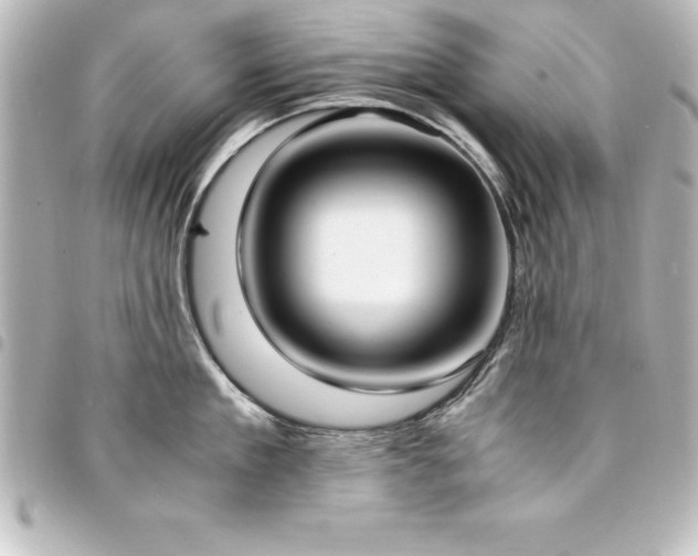 X0000094360909200711021507