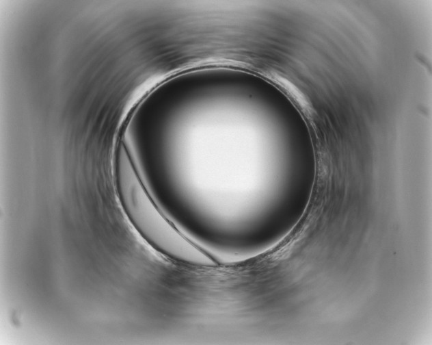 X0000094360910200711021507