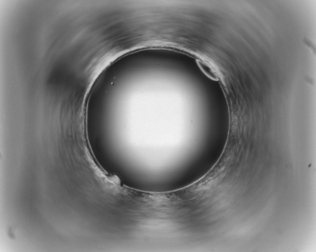 X0000094360911200711021507