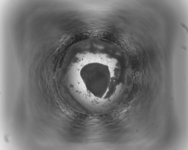 X0000094360913200711021506