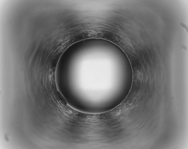 X0000094360914200711021506