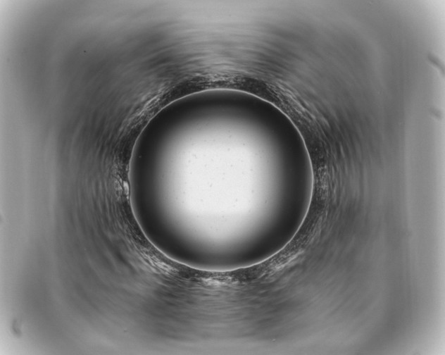 X0000094360916200711021506