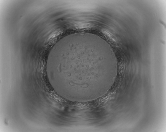 X0000094360917200711021506
