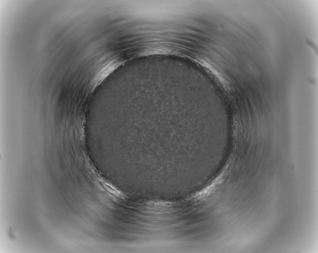 X0000094360921200711021506