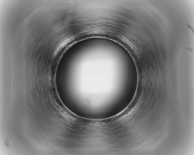 X0000094360922200711021506