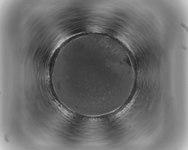 X0000094360923200711021506