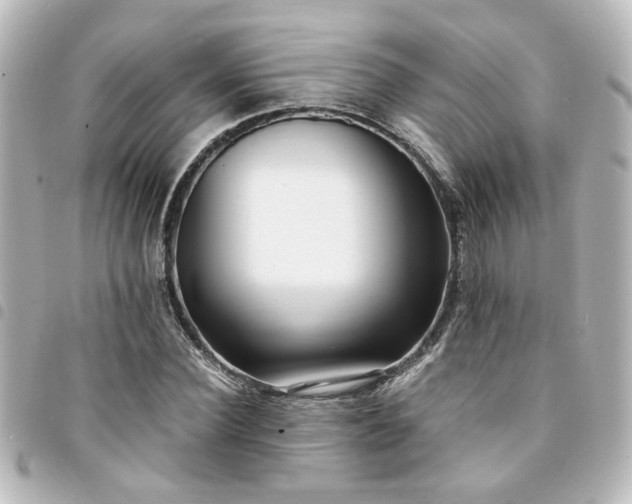 X0000094360924200711021506